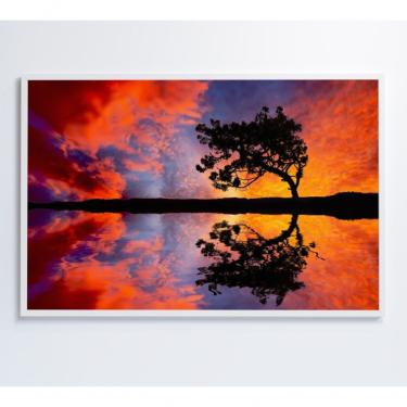 Imagem de Quadro árvore Por Do Sol 60x40 Cm Vidro Impresso