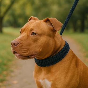 Imagem de Coleira para Cachorro  Guia Unificada Para Cães de Grande e Médio Port