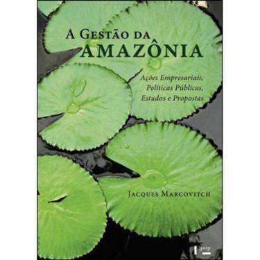 Imagem de Gestao Da Amazonia, A - Açoes Empresariais, Politicas Publicas, Estudos E Propostas