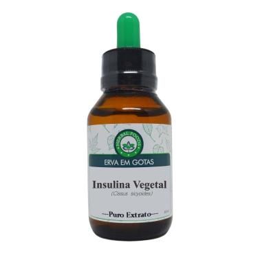 Imagem de Insulina Vegetal - Extrato 60ml (tintura Mãe)