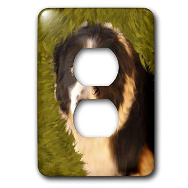 Imagem de 3dRose Lsp_11977_6 Border Collie 2 Plug Outlet Cover