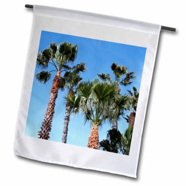 Imagem de 3dRose fl_157581_1 Grupo de palmeiras com céu azul e algumas nuvens - verde, natureza, tropical, verão, praia, bandeira de jardim da ilha, 30 por 45 cm