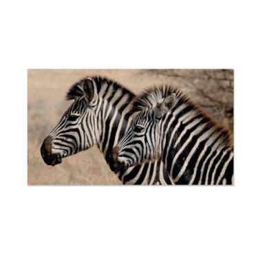 Imagem de Quadros em tela preto e branco animais decoração de parede, imagine retro della fauna selvática Due zebre, modernos mural fotos para sala de estar, quarto, casa de banho, sala de jantar70 x 120 cm (28