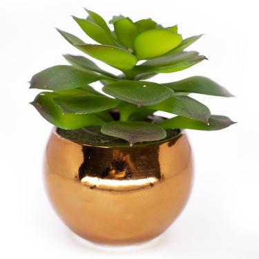 Imagem de Vaso Decorativo Dourado Com Suculenta Artificial Sedum Hirsutum 12x8 Cm F04 - D'rossi