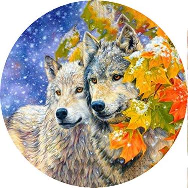 Imagem de Capa para estepe Ecosport Crossfox Casal de Lobos CN842 - Lorben