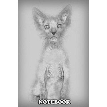 Imagem de Notebook: Kitten Lykoi Cat 7 Weeks Old Also Called The Werewolf C , Journal for Writing, College Ruled Size 6" x 9", 110 Pages