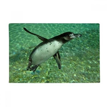 Imagem de DIYthinker Water Southern Penguin Science Nature Picture Tapete antiderrapante para porta de banheiro