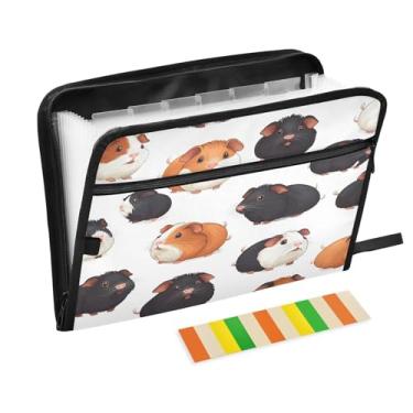 Imagem de CEBUGI Pasta expansível com 13 bolsos, organizador de arquivos sanfonado à prova d'água com etiquetas tamanho A4, organizador de documentos de papel para escola, material de escritório