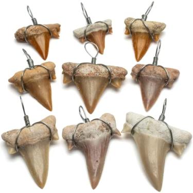 Imagem de KALIFANO Mini dentes de tubarão pré-históricos fossilizados autênticos (pacote com 9) do Marrocos – dente de tubarão para coleções de fósseis e fabricação de joias a granel (cartão de informações incluído)