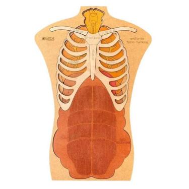 Imagem de Quebra-Cabeças Anatomia Humana 4 Camadas 40X28cm - Slow Juicer Brasil