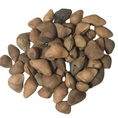 Imagem de Ch. de Napoleão 100Gr - Top Life Saudáveis