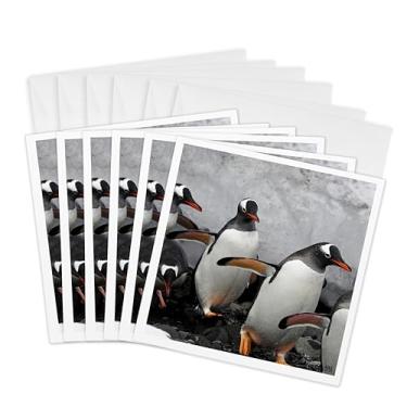 Imagem de Pinguim Gentoo fora das águas congelantes ao redor de Aitcho - Cartões comemorativos, 15,24 x 15,24 cm, conjunto de 6 (gc_10505_1)