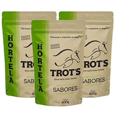 Imagem de Kit 3x Erva Mate Tereré Trot's Premium 500g Hortelã