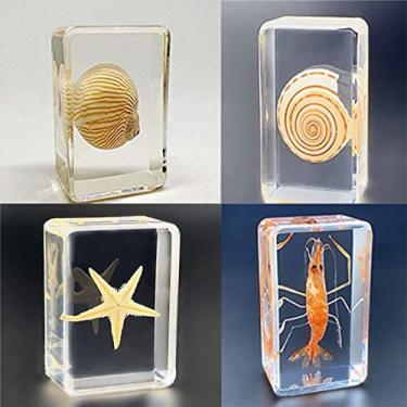 Imagem de Besouros de insetos reais definidos em resina cristalina, espécime de resina de inseto real, espécime de peso de papel de inseto, resina transparente Ornamentos pequenos criativos Brinquedo