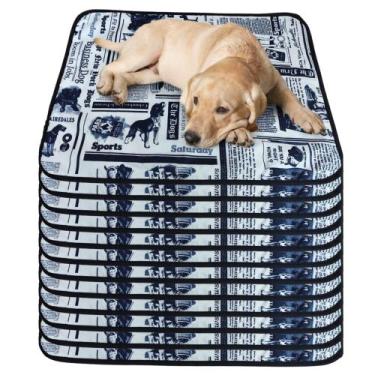 Imagem de 12 Tapetinhos Macios para Dormir Pet Antipulgas 300 Lavagens 70x50 Jor