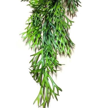 Imagem de Chifre De Veado Pendente Artificial Suculenta Árvore Planta, 80 cm - N