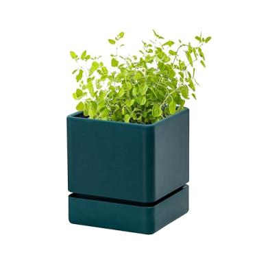 Imagem de Vaso de plantas de 10 cm, vaso de plástico com orifícios de drenagem e pires, vaso de jardinagem decorativo moderno para plantas de interior, flores, ervas, suculentas, verde, conjunto de 1, 76-Y-C-1