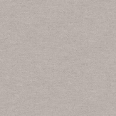 Imagem de Papel De Parede The Wall 2 Textura Cinza 306894