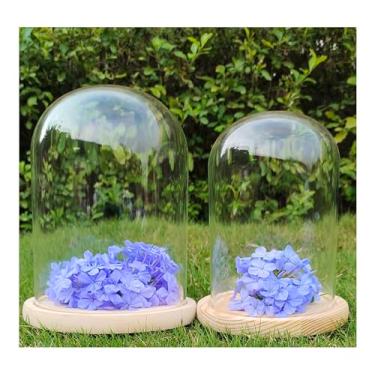 Imagem de Pacote com 2, estojo de decoração de cúpula cloche de vidro transparente, pote decorativo de mesa central com base de madeira (20,3 x 12,7 cm + 17,8 x 10 cm)