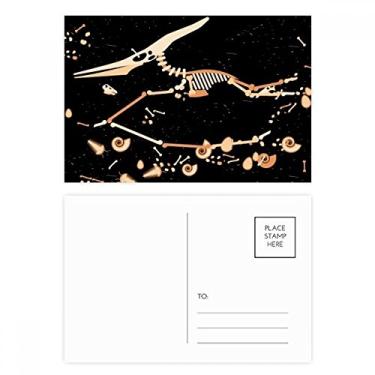 Imagem de Bone Miniature Dinosaur Bones, conjunto de cartões postais de aniversário, cartão de agradecimento