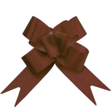 Imagem de 10 Laço Fácil para Presente 12mm - AAZ, Liso Marrom