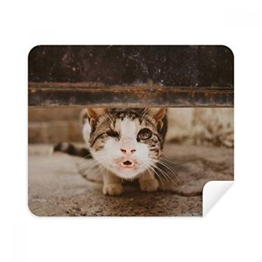Imagem de Pano de limpeza de fotografia de gato engraçado animal limpador de tela 2 peças tecido de camurça