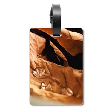 Imagem de Folhas caídas para fotografia da natureza da planta e mala, etiqueta para cartão de bagagem