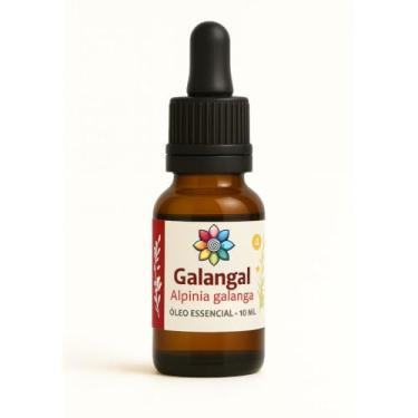 Imagem de Óleo Essencial de Galangal 10 ml | 100% Puro & Natural – Clareia a mente, revigora e desperta foco