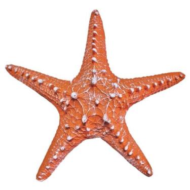 Imagem de Estrela Do Mar Resina P/ Pendurar Parede Pousada Praia 20cm - M3 Decor