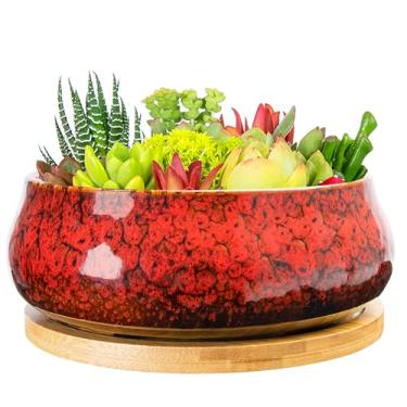 Imagem de ARTKETTY Vasos de suculentas - Vaso de 20 cm, vasos grandes de bonsai com bandeja de drenagem, vasos de cerâmica para plantas internas e externas, recipiente redondo raso para flores de cacto