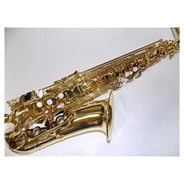 Imagem de Saxofone profissional EB Saxofone alto com caixa ABS acabamento de laca corporal de latão kit de instrumentos musicais profissionais saxofone de latão para iniciantes