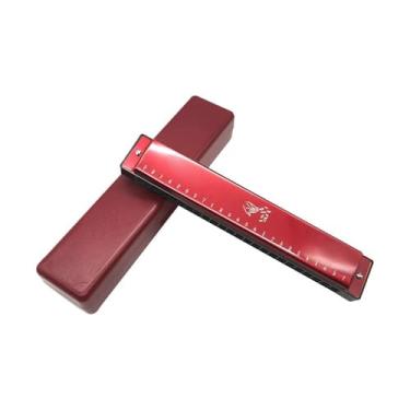 Imagem de Gaita polifônica profissional de 24 furos com música folclórica Blues adequada para iniciantes e adultos (tipo 3)