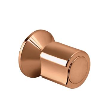 Imagem de Acabamento de registro redondo Guajará Pingoo.casa - Dourado Rose