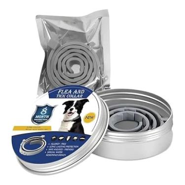 Imagem de Coleira Antipulgas Para Cães Ajustável 63cm Cinza Óleo Essencial com Caixa de Alumínio