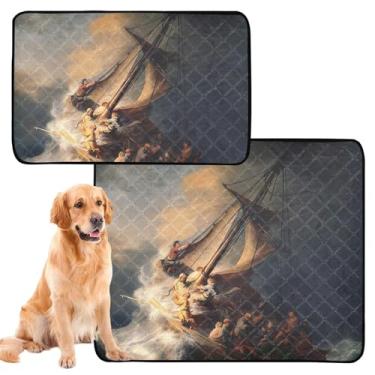 Imagem de TSENQUE Almofadas de xixi laváveis Rembrandt com estampa de tempestade mar galiléia para animais de estimação reutilizável tapete de urina fofo para cães à prova d'água absorventes almofadas de penico