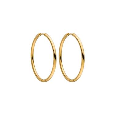 Imagem de PURELEI Brincos eco, (ouro prata ouro rosa) brincos impermeáveis femininos brincos de argola de aço inoxidável presente para mulheres 40 mm de diâmetro, Aço inoxidável, Sem pedra preciosa