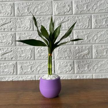 Imagem de Bonsai Decorativo Artificial com Planta Artificial Tipo Bambu, Vaso de Planta Colorido para Decoração de Sala, Escritório e Ambiente Interno (Lilás)