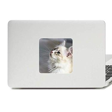 Imagem de Adesivo de vinil paster com perfil de animal de estimação branco e desenho de animal de estimação decoração de policarbonato