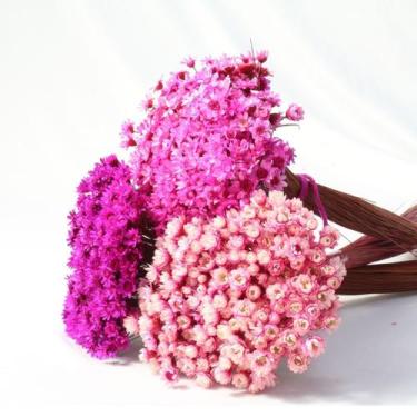 Imagem de Kit 3 maços de Sempre Viva Desidratadas - Rosa, Rosa Chiclete e Pink -