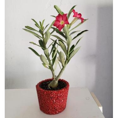 Imagem de Vaso de pedraria n5 - Mob vasos , Vermelho