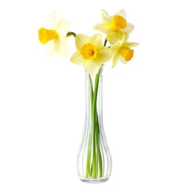 Imagem de Vaso de vidro transparente, vasos de vidro de pescoço estreito, listrados, decorativos, centros de mesa para sala de estar, escritório