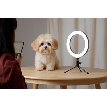 Imagem de Ring Light LED 6 Polegadas com Tripé e Suporte para Celular – Iluminador de Mesa para Vídeos, Fotos, Lives e Maquiagem