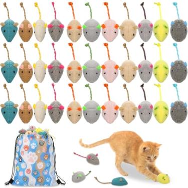 Imagem de Leitee Pacote com 50 brinquedos sortidos para gatos a granel com 1 conjunto de sacos de armazenamento de presente de pata de gato, gato peludo, animais de estimação, brinquedo de limpeza de dentes