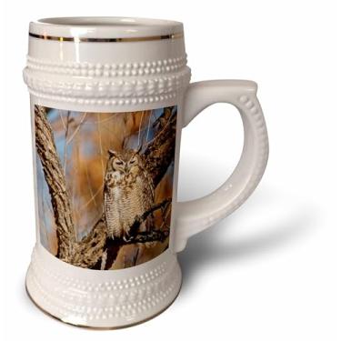 Imagem de 3dRose Caneca de coruja com chifre, árvore de salgueiro, Novo México, USA-US32 LDI0036-Larry Ditto, 530 ml, caneca de 623 g, branca