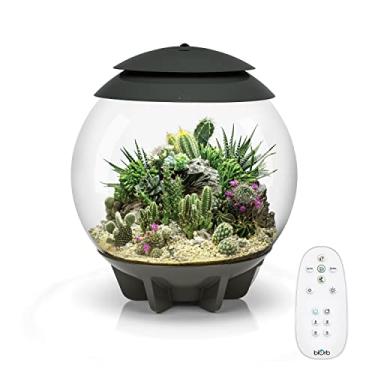 Imagem de biOrb AIR 30 Terrarium, cinza