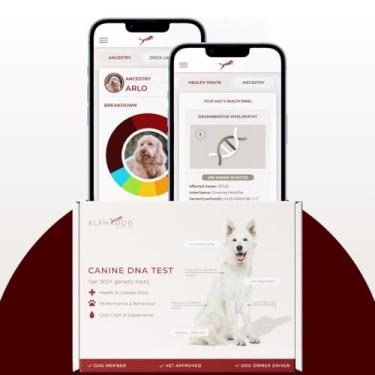 Imagem de Etalon Diagnostics Teste de DNA AlphaDog – Triagem de Riscos e Condições de Saúde e Kit de Composição de Raças de Cães – Mais de 350 Características – Inclui Acesso ao Marketplace