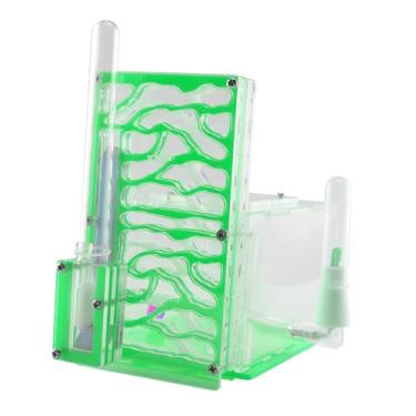 Imagem de Generic Caixa de para formigas, caixa de para formigas com cesto de ração, faça você mesmo, para mesa, sala de estar, cozinha doméstica, Verde