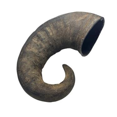 Imagem de Chifre de Bufalo 100% Natural Desidratado