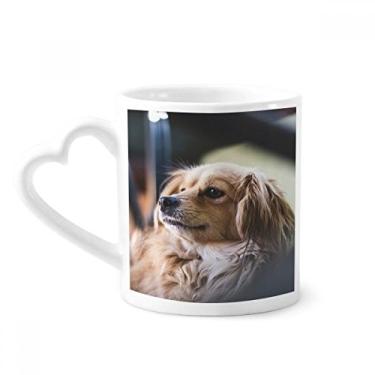 Imagem de Caneca com foto solitária de cachorro pequeno animal café cerâmica copo de coração de vidro
