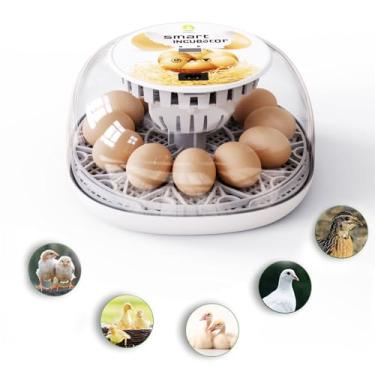 Imagem de Incubadora de ovos, incubadora de 12 ovos com giro automático de ovos, recarga automática de água, controle automático de temperatura, iluminação LED para ovos